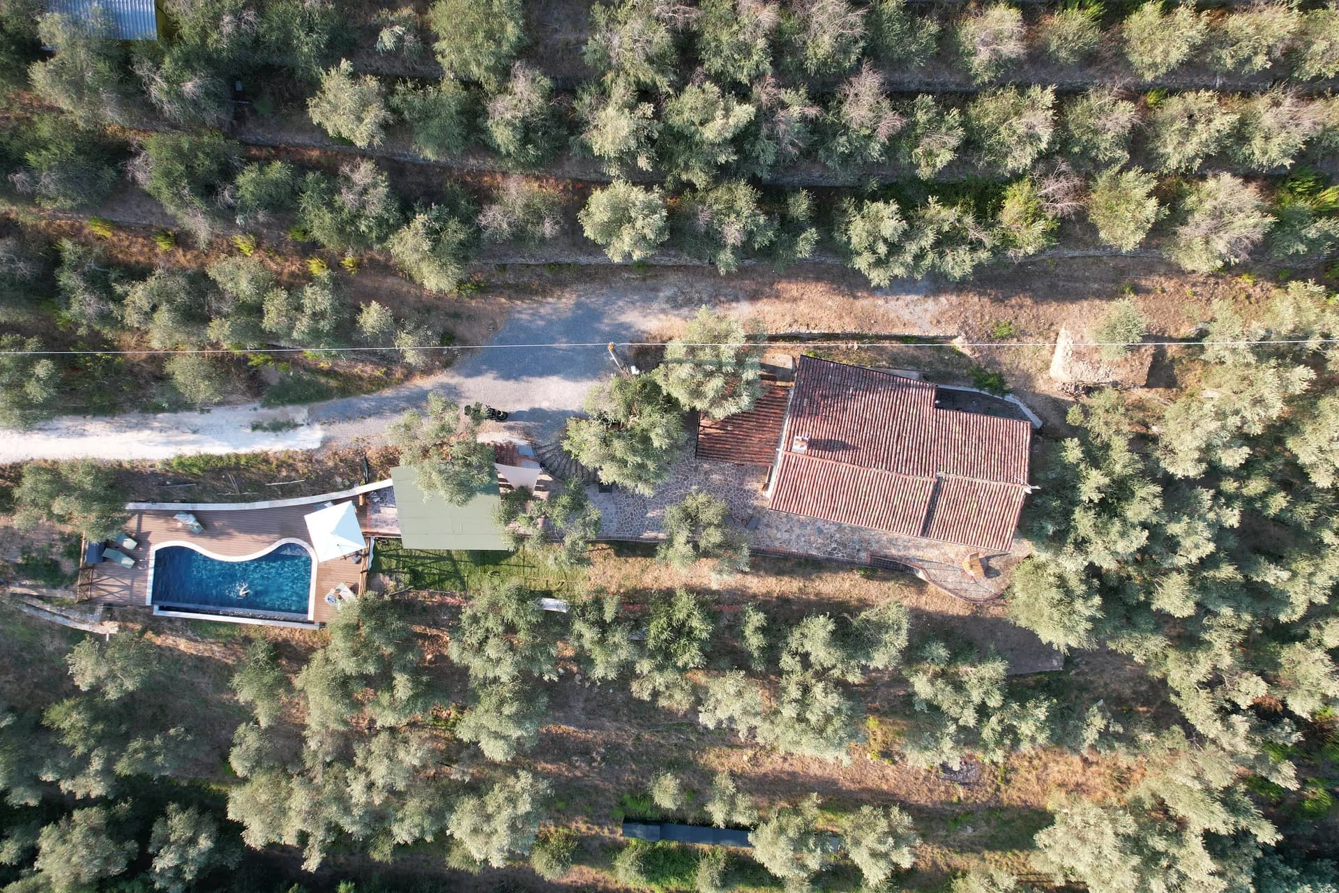 The hillside farmhouse at Casale Eleo above Vicopisano