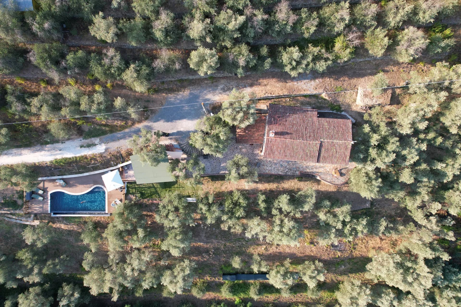 The ochre facade of Casale Eleo among the olive trees