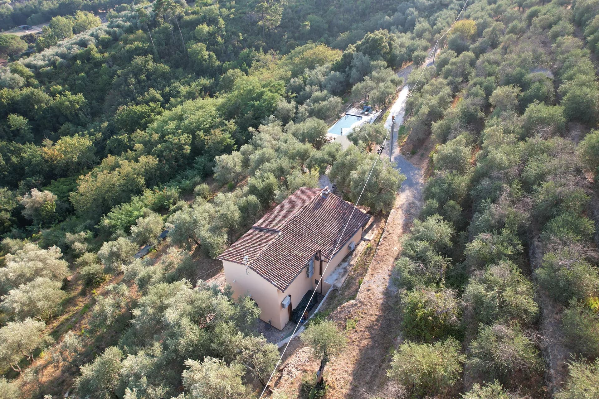 The ochre facade of Casale Eleo among the olive trees