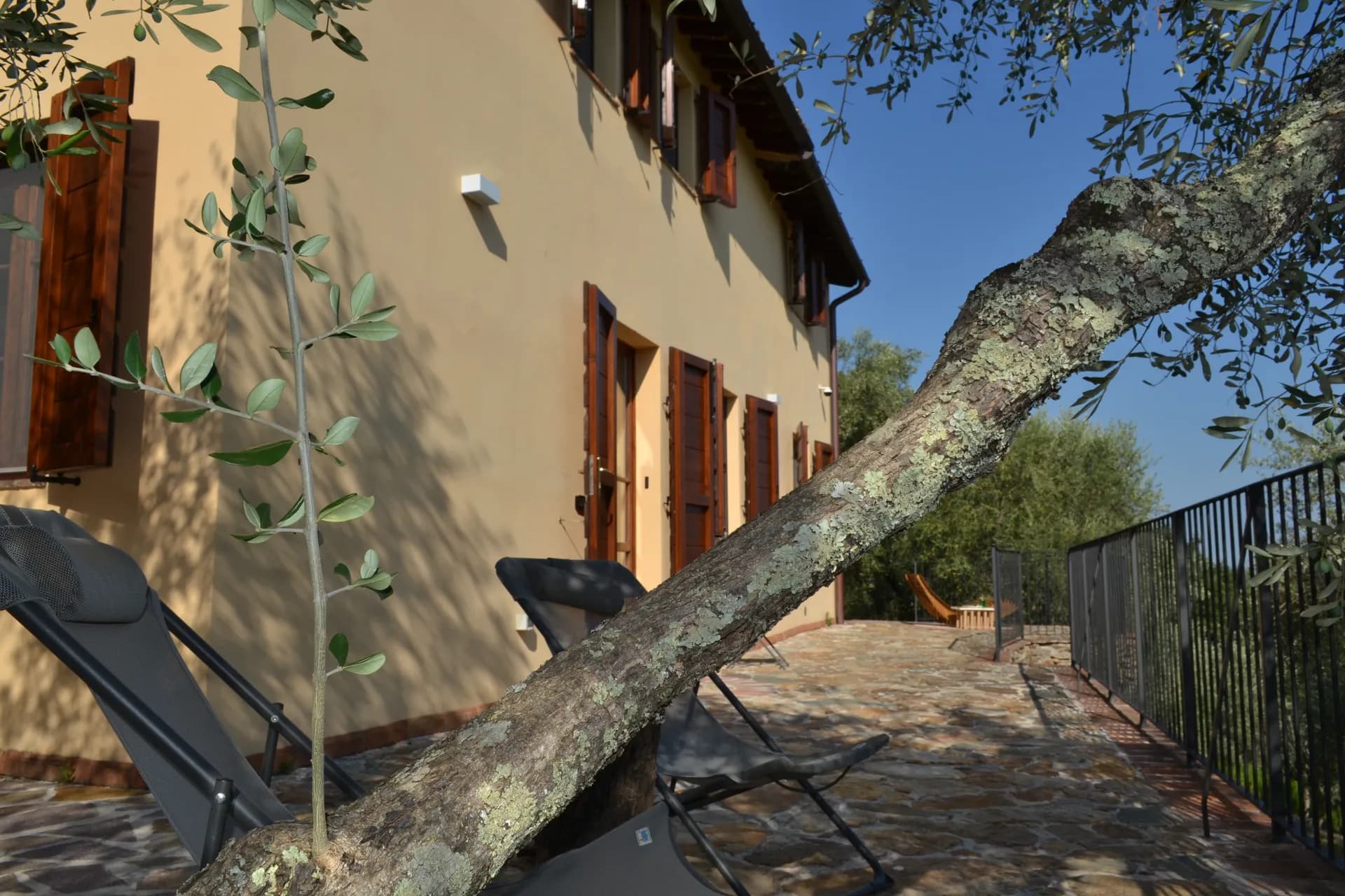 The ochre facade of Casale Eleo among the olive trees