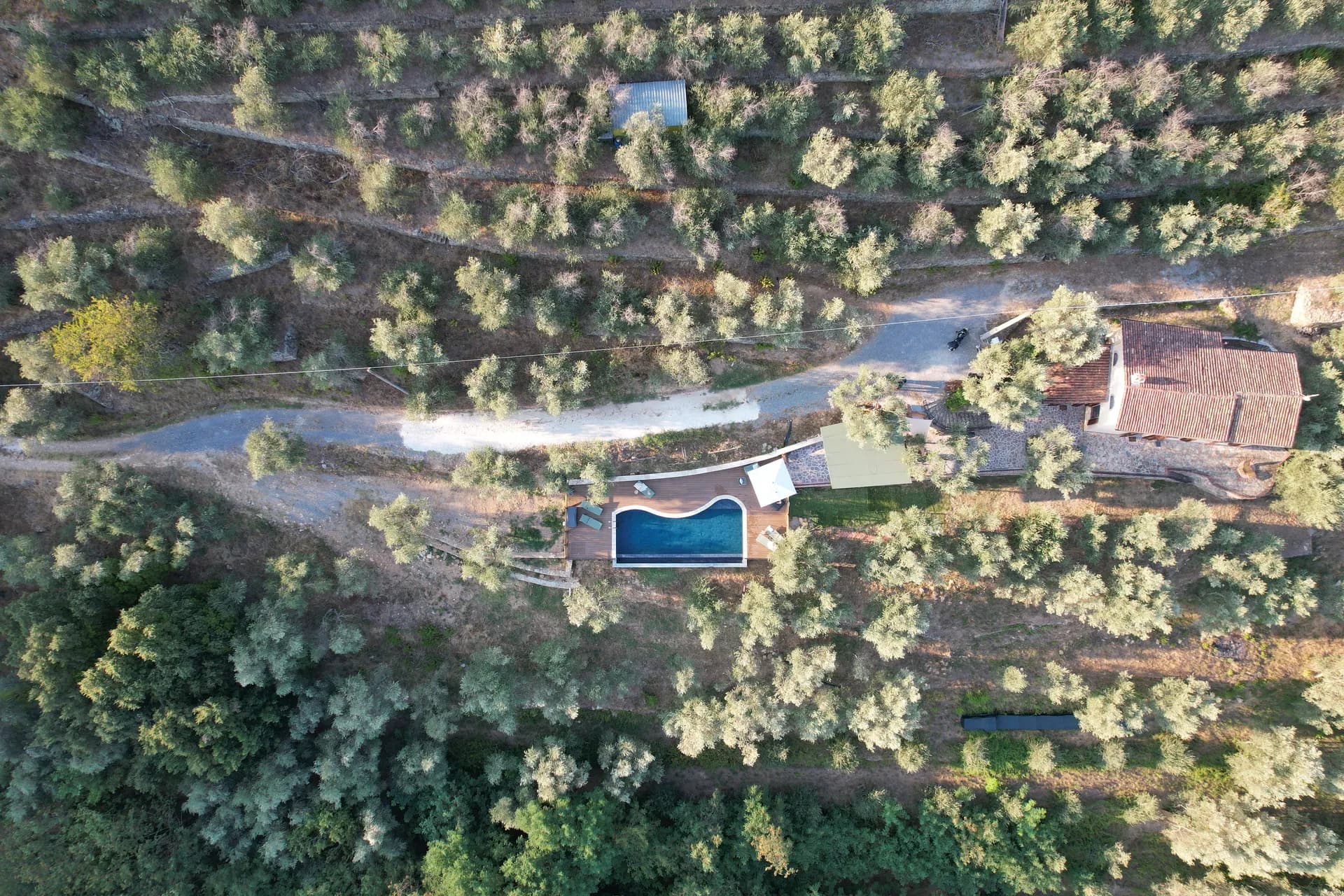 The terraced olive grove around Casale Eleo