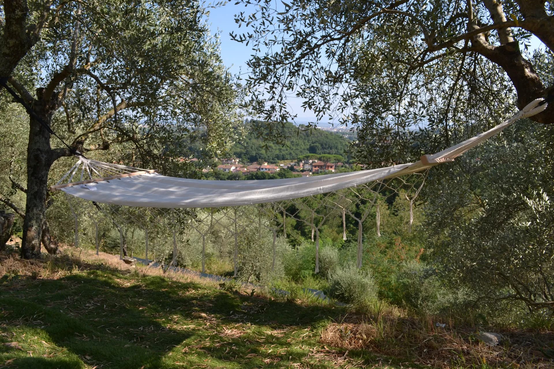 Views across the valley from the grounds of Casale Eleo