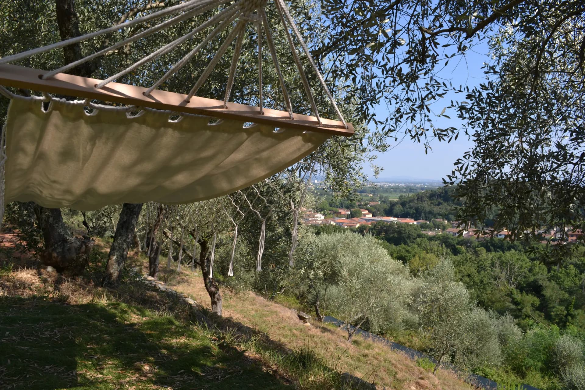 A hammock strung between olive trees at Casale Eleo