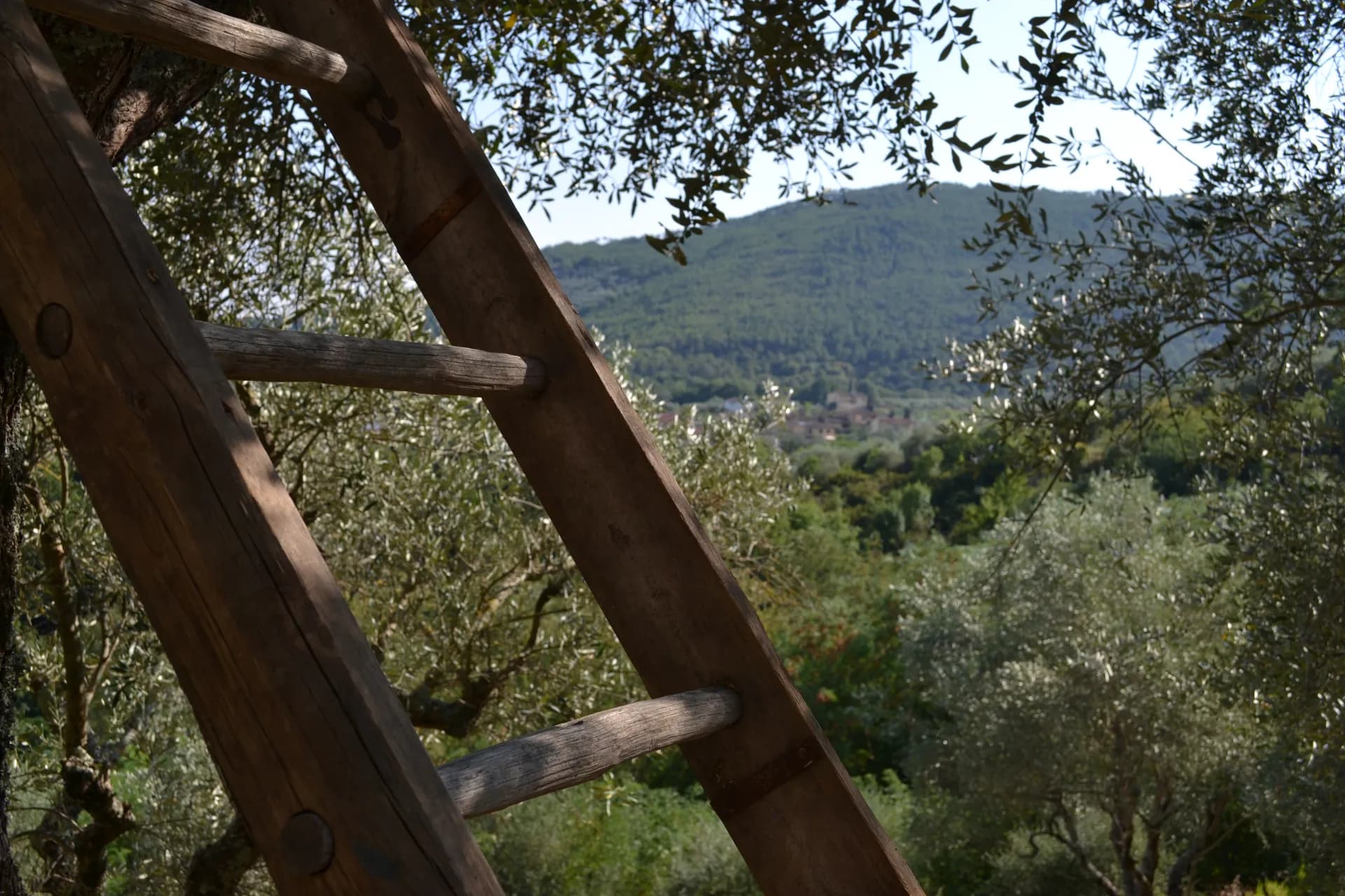 Views across the valley from the grounds of Casale Eleo