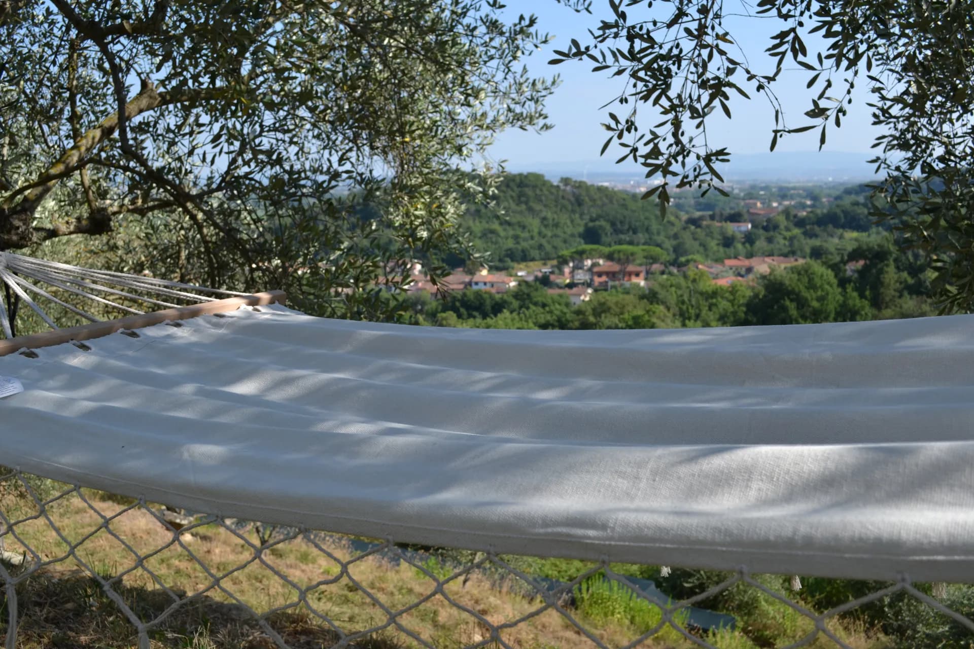 Loungers under the olive trees, looking over the Arno plain