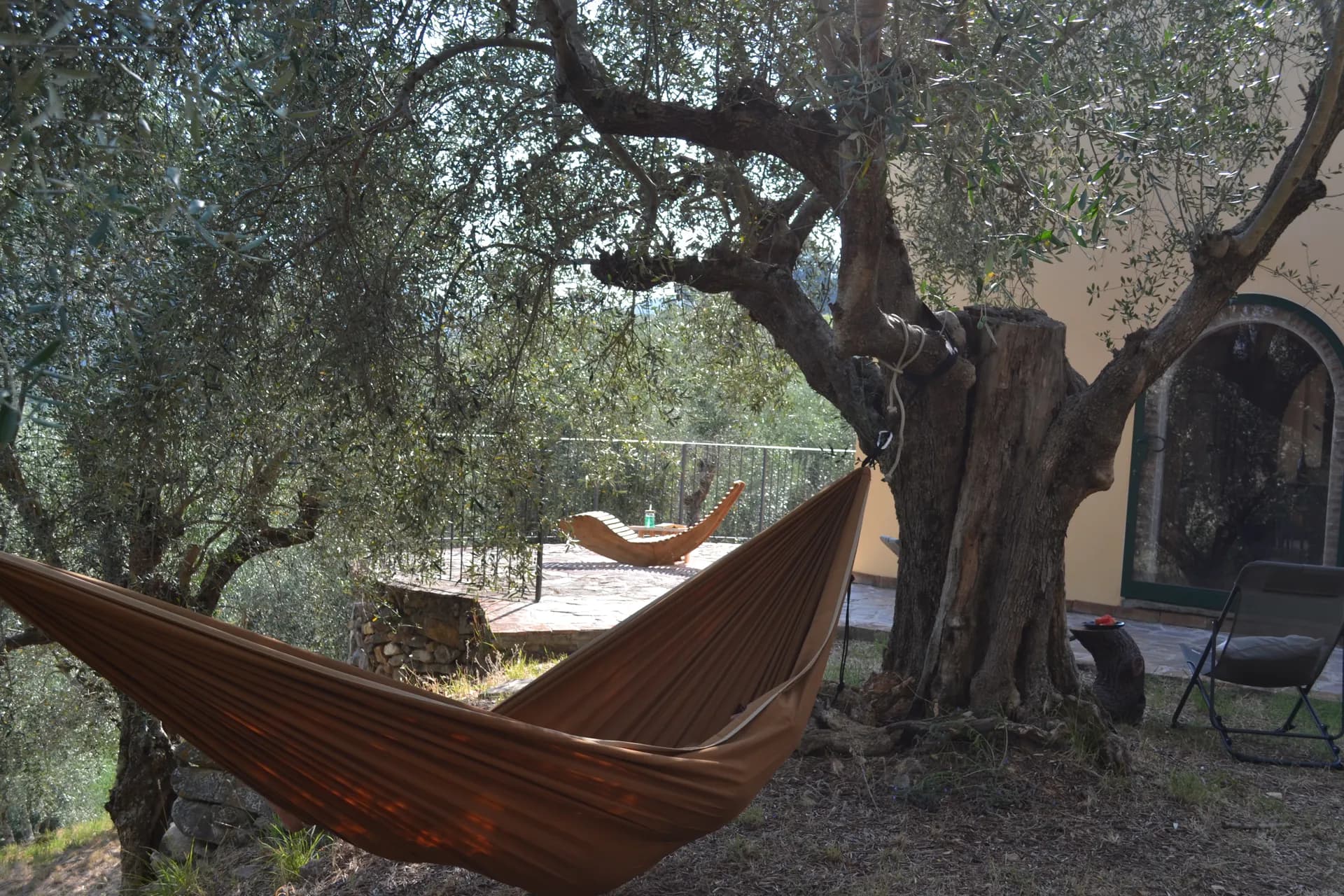 The terraced olive grove around Casale Eleo