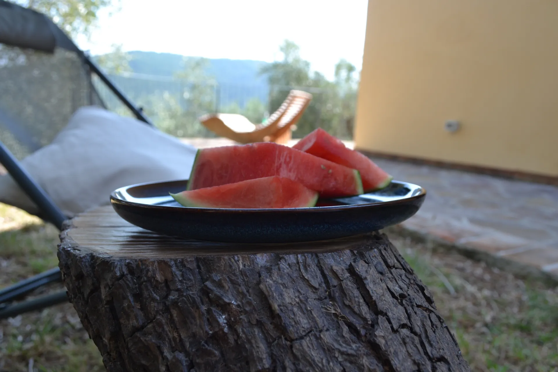 A hammock strung between olive trees at Casale Eleo