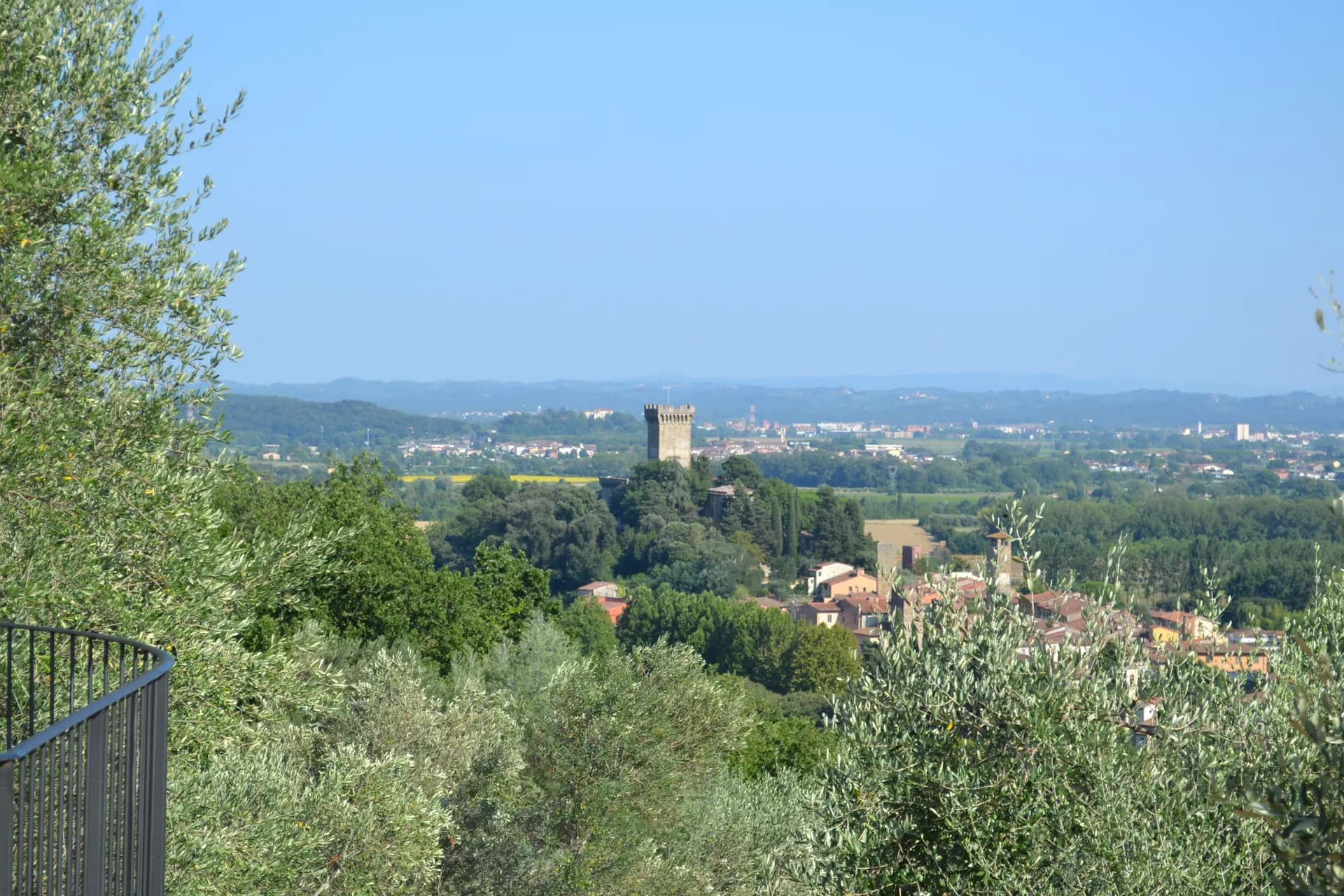 The terraced olive grove around Casale Eleo