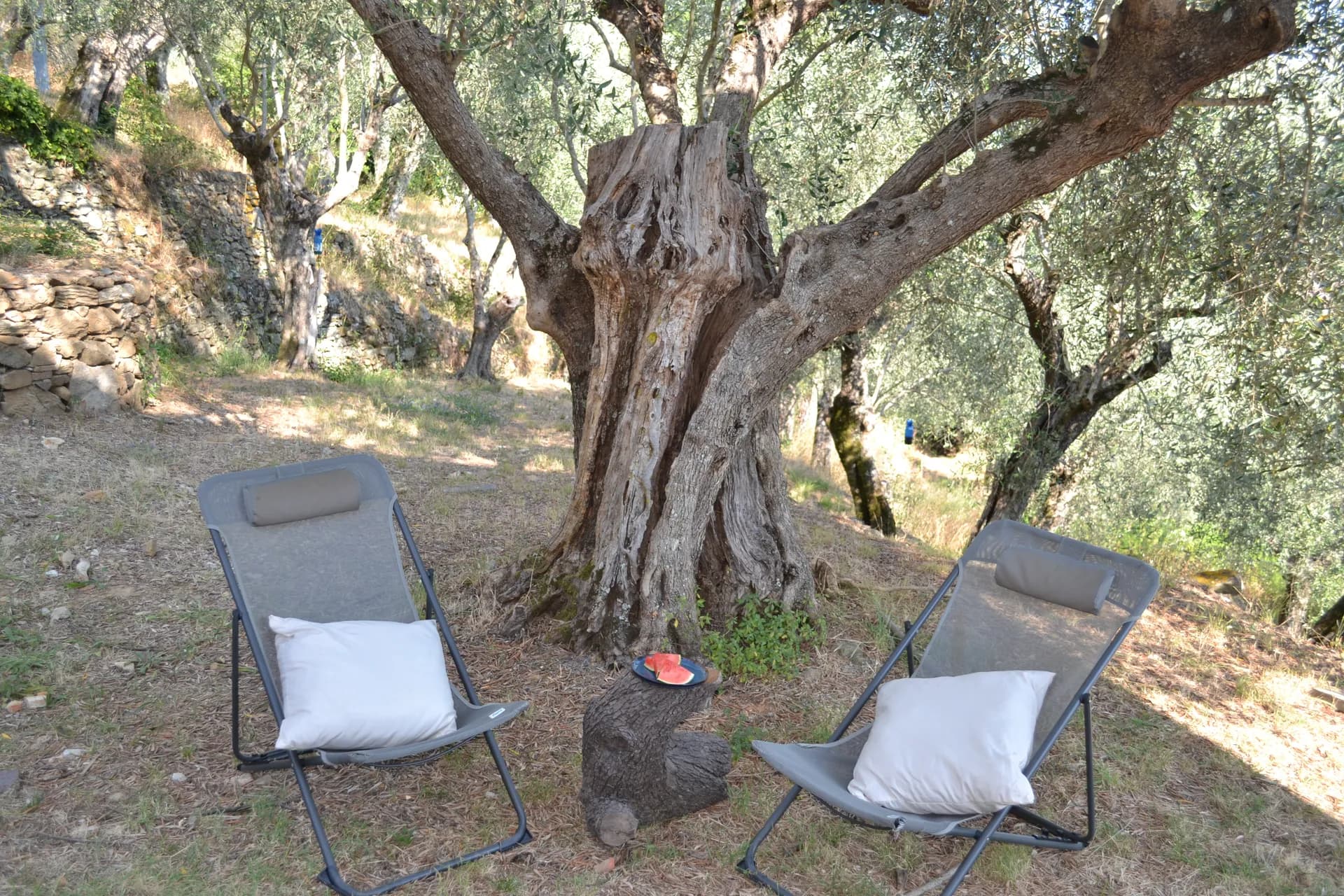 Views across the valley from the grounds of Casale Eleo