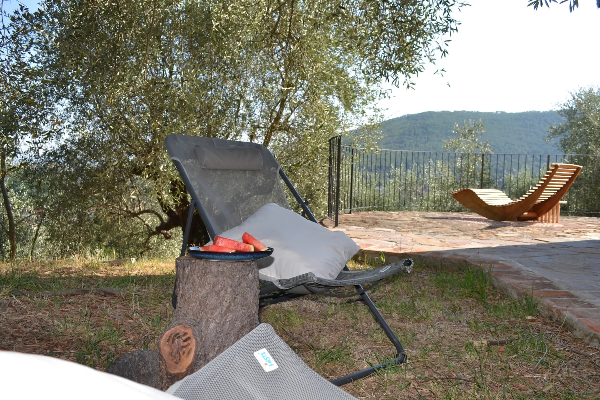A hammock strung between olive trees at Casale Eleo