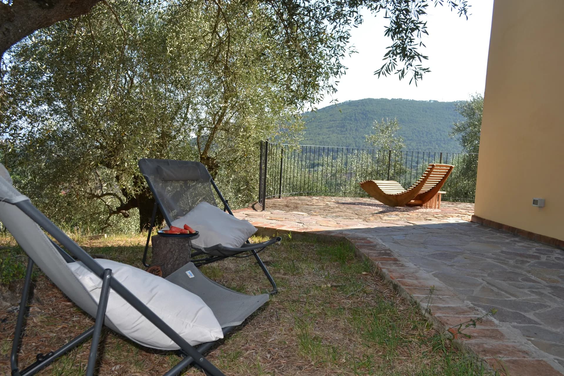 Loungers under the olive trees, looking over the Arno plain