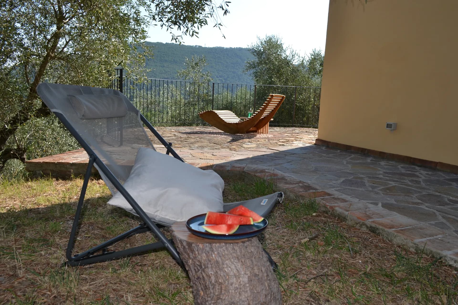 The terraced olive grove around Casale Eleo