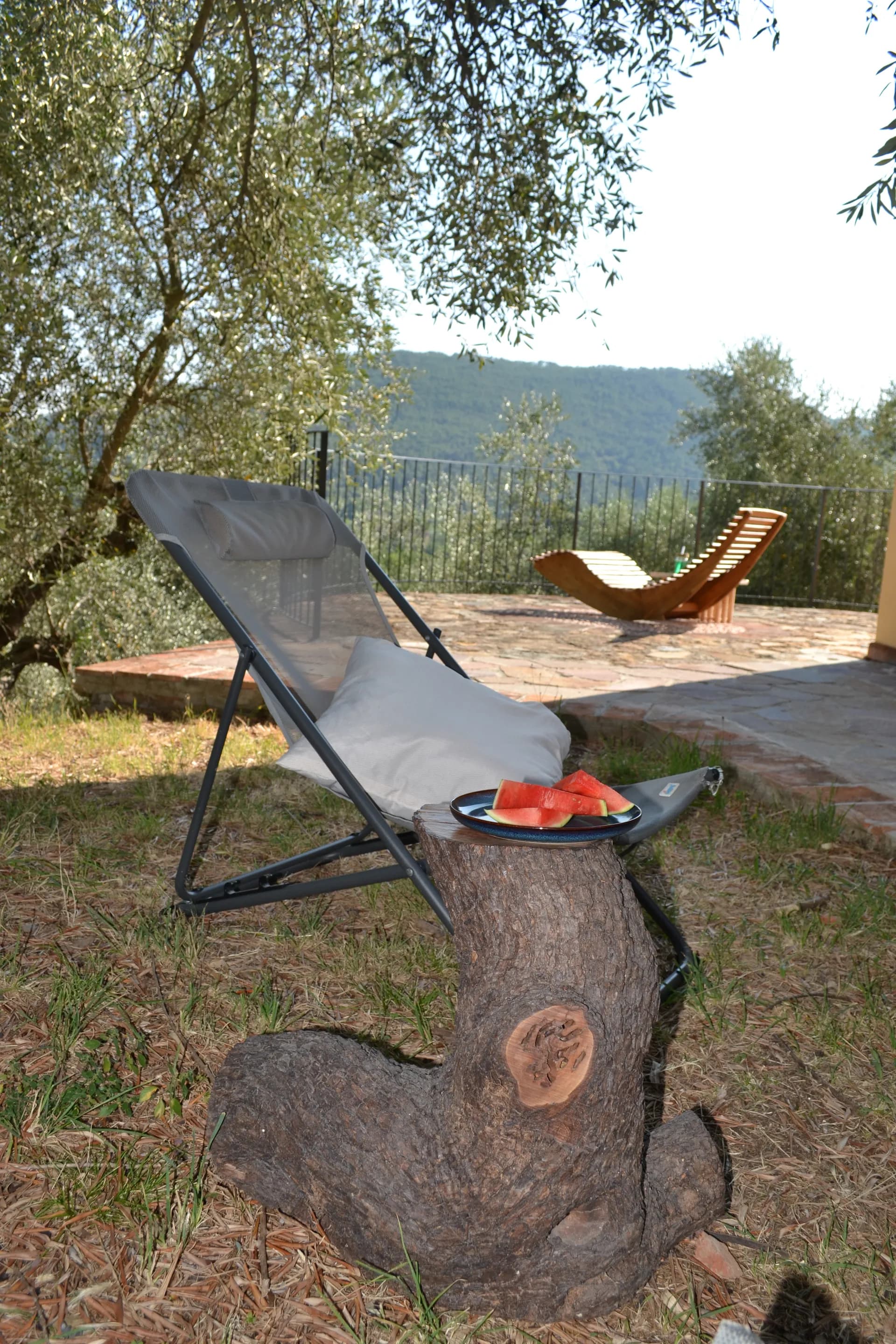A hammock strung between olive trees at Casale Eleo