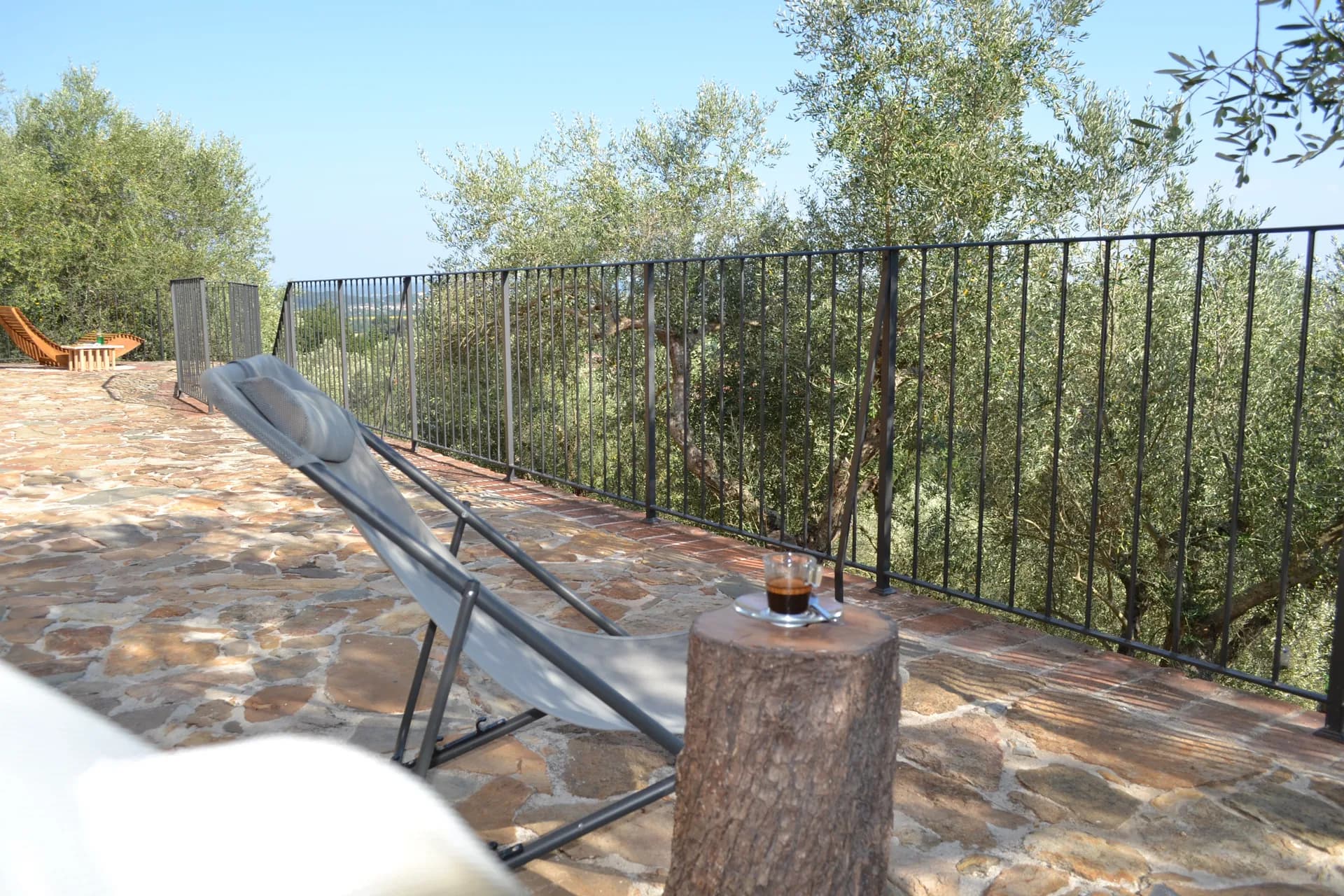 Loungers under the olive trees, looking over the Arno plain