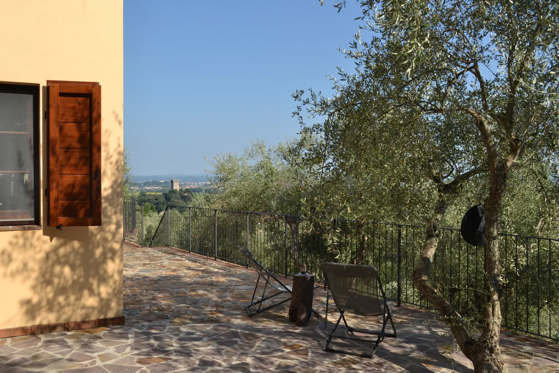 Loungers under the olive trees, looking over the Arno plain