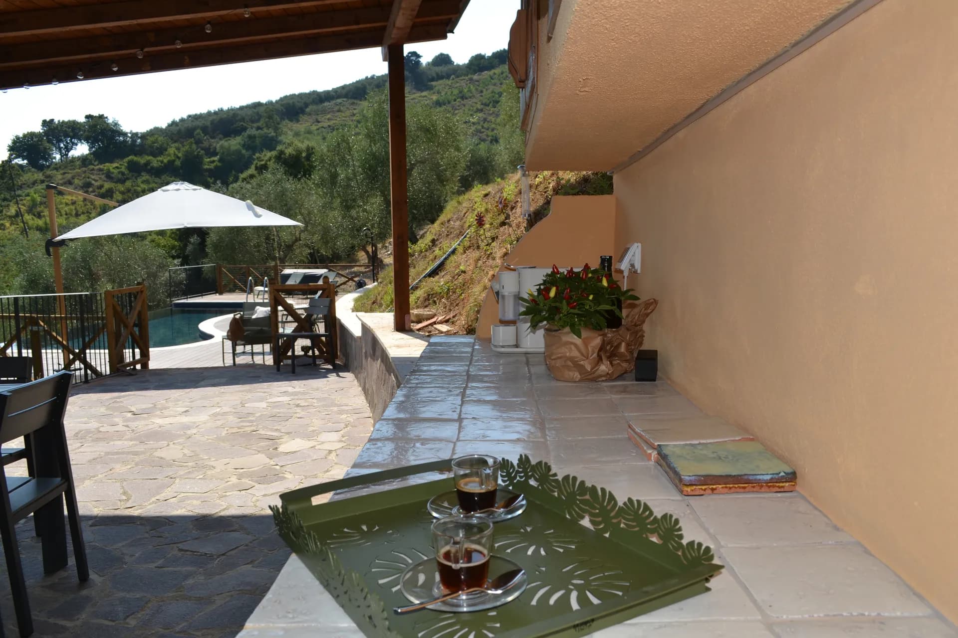 The shaded gazebo and outdoor kitchen beside the pool