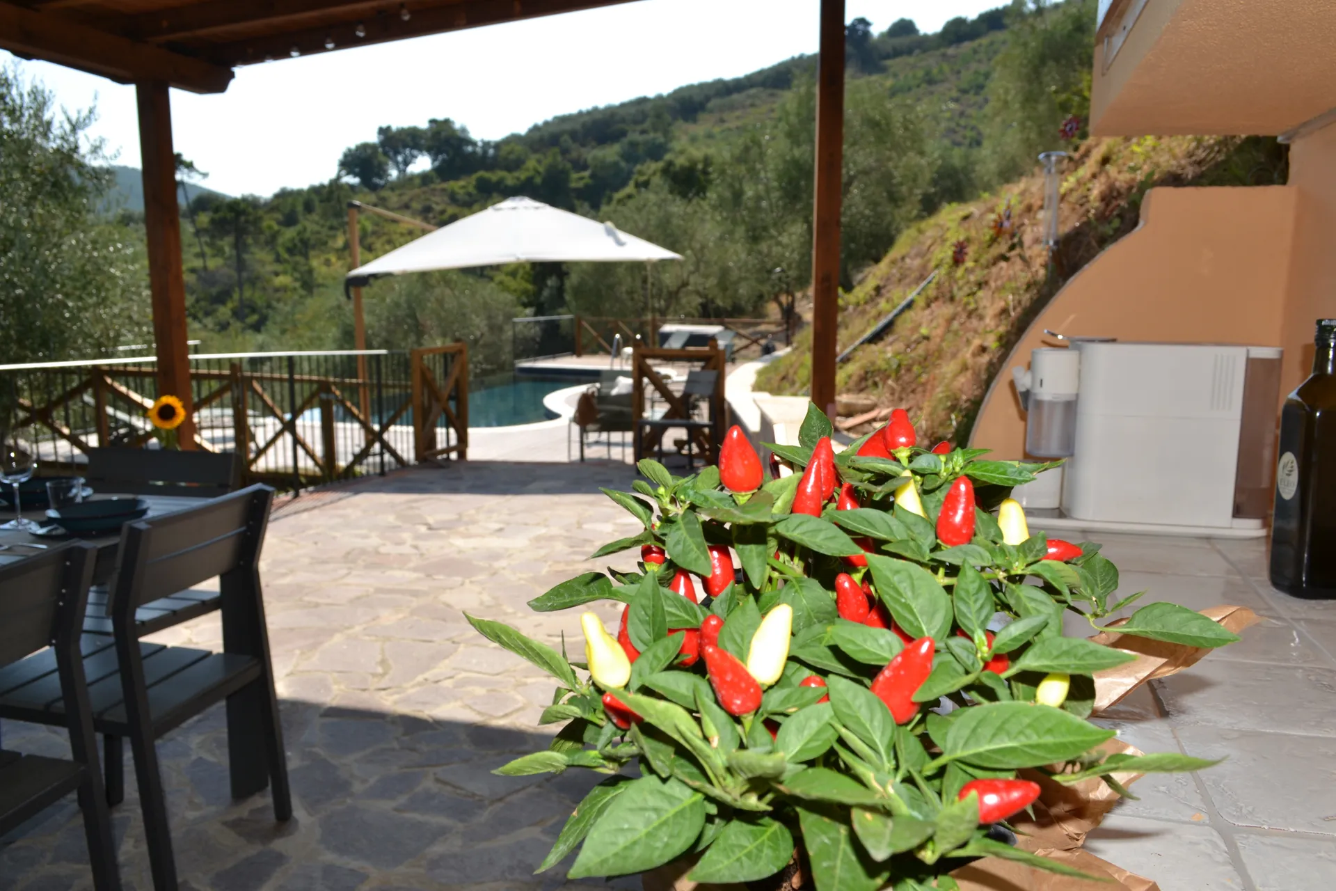 The shaded gazebo and outdoor kitchen beside the pool